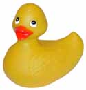 rubber ducky store